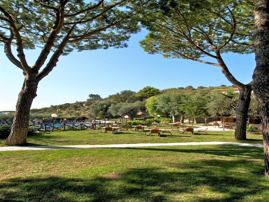 Freedom Holiday Residence Massa Lubrense Εξωτερικό φωτογραφία