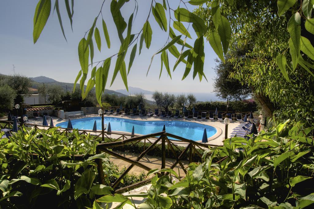 Freedom Holiday Residence Massa Lubrense Εξωτερικό φωτογραφία